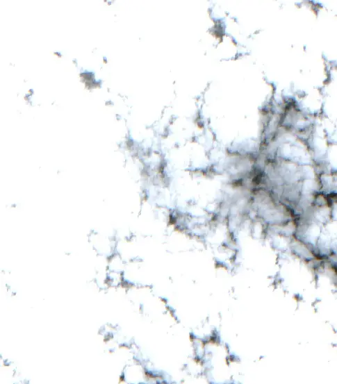 Después — Municipio de La Gallareta (Sentinel-2, 2026-10-19)
