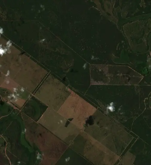 Después — Municipio de Estanislao del Campo (Sentinel-2, 2026-09-20)