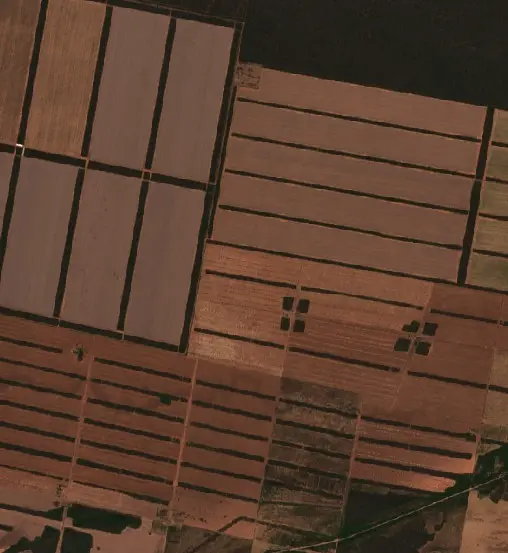 Después — Municipio de General Pizarro (Sentinel-2, 2026-09-08)