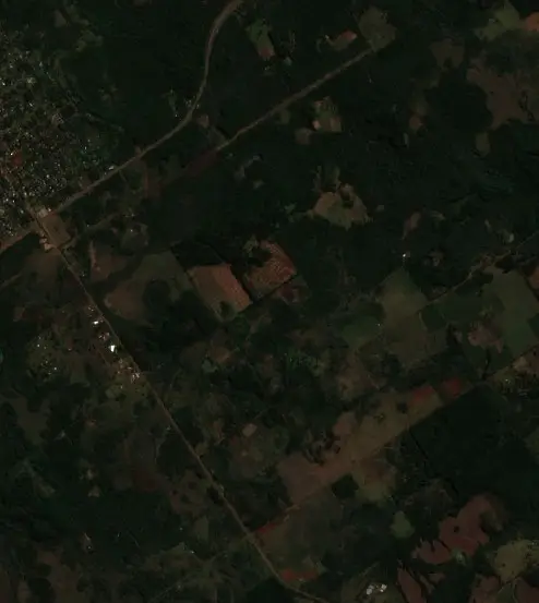 Before —  (Sentinel-2, 2026-07-31)
