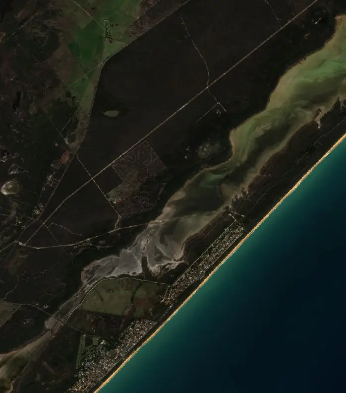 After — Wellington (Sentinel-2, 2026-09-20)