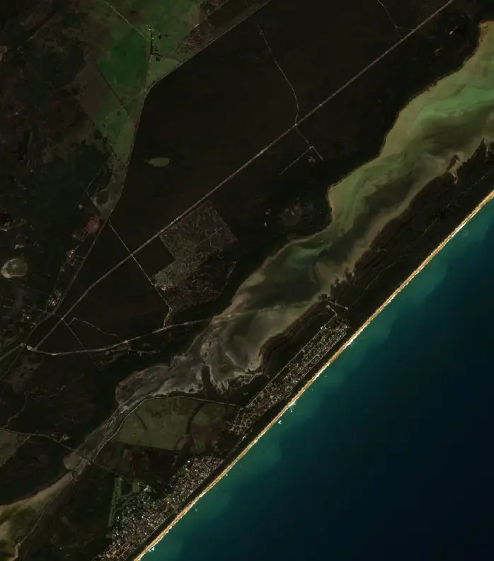 Before — Wellington (Sentinel-2, 2026-09-08)