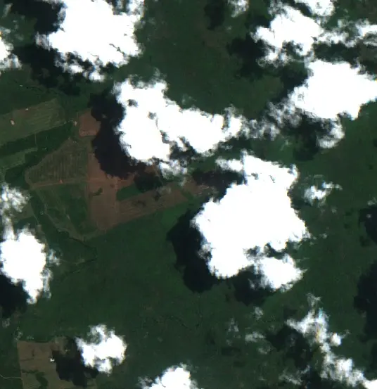 Después — Municipio Concepción (Sentinel-2, 2026-10-05)