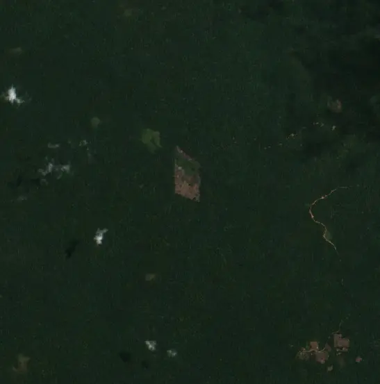 After — Municipio Bella Flor (Sentinel-2, 2026-09-22)