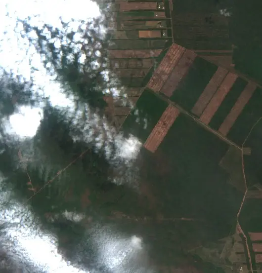 Después — San José de Chiquitos (Sentinel-2, 2026-10-12)