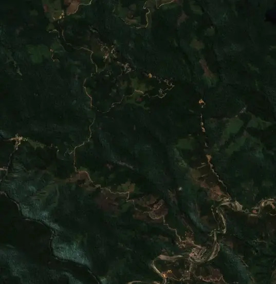 Antes — Municipio Apolo (Sentinel-2, 2026-08-08)