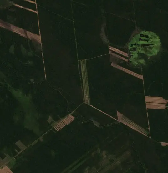 Before — Municipio Ascención de Guarayos (Sentinel-2, 2026-09-16)