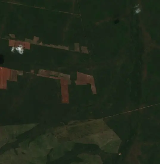 Before —  (Sentinel-2, 2026-09-25)