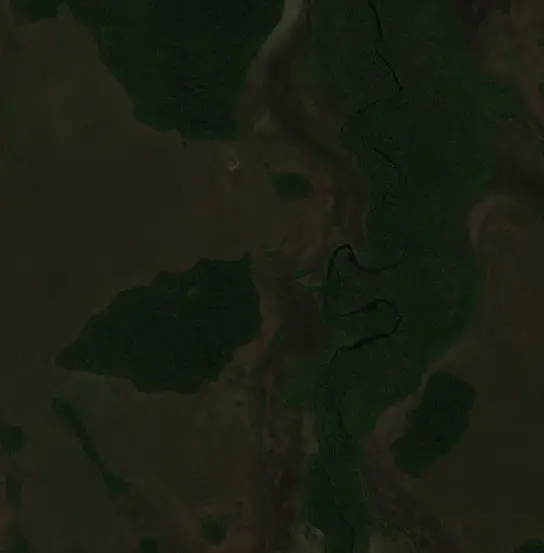 Antes — Municipio Puerto Siles (Sentinel-2, 2026-08-12)