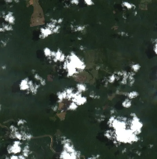 Después — Municipio Bella Flor (Sentinel-2, 2026-10-02)