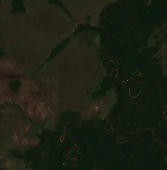 Antes — Municipio Exaltación (Sentinel-2, 2026-08-12)