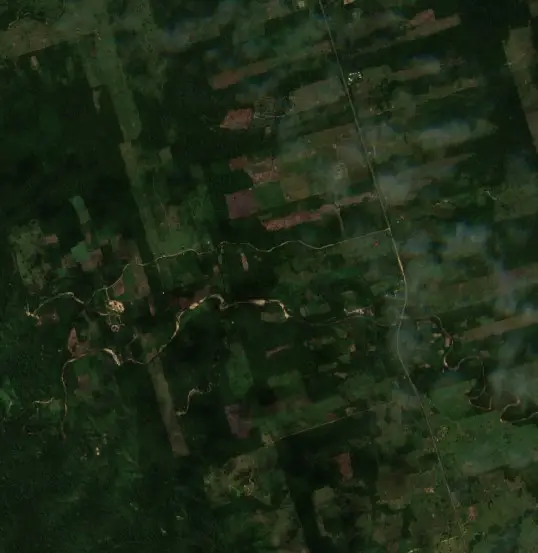 Después — San Borja (Sentinel-2, 2026-09-19)