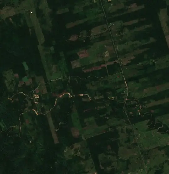 Antes — San Borja (Sentinel-2, 2026-09-04)