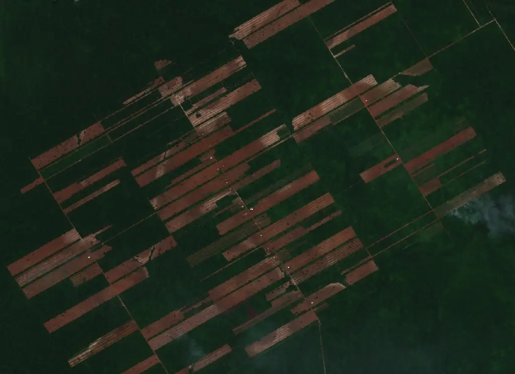 Después — Municipio Urubichá (Sentinel-2, 2026-10-21)