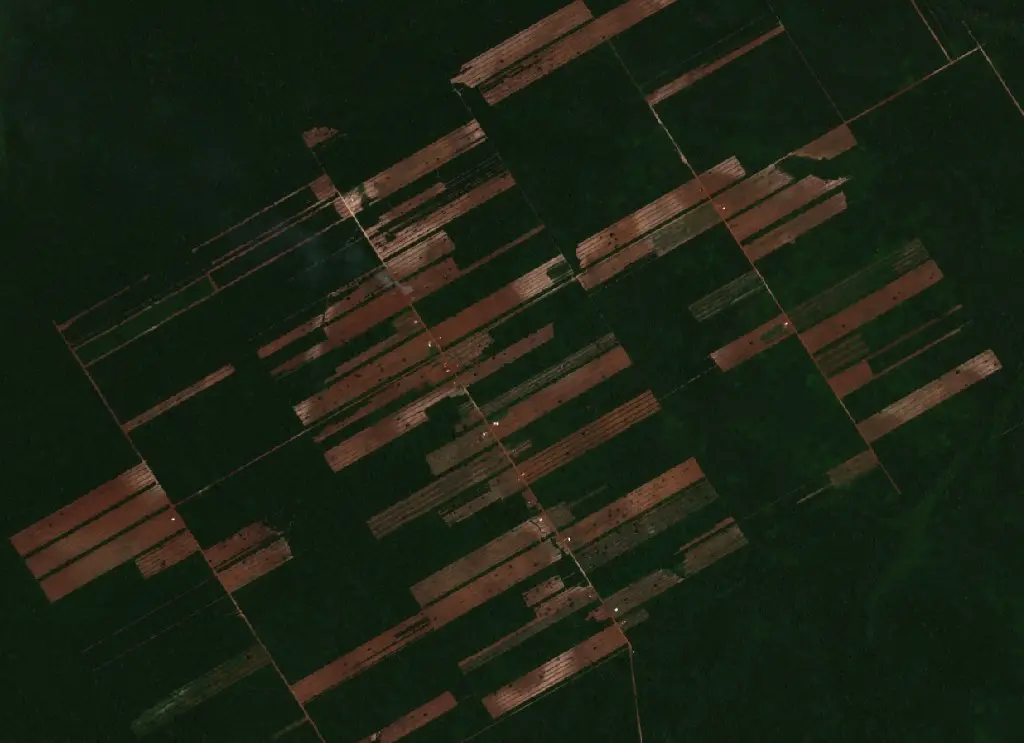 Antes — Municipio Urubichá (Sentinel-2, 2026-09-16)