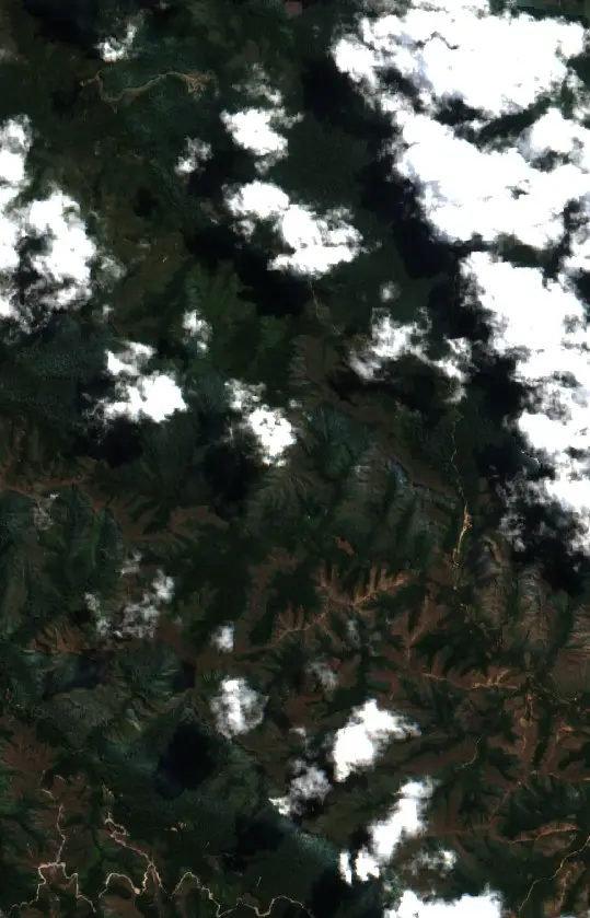 Antes — Municipio Apolo (Sentinel-2, 2026-08-08)