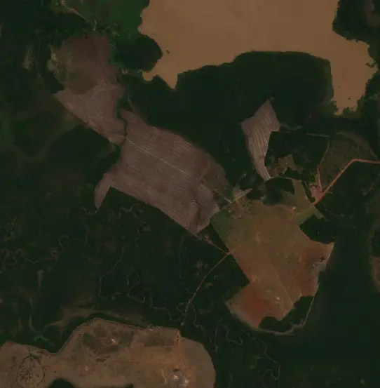 Después —  (Sentinel-2, 2026-09-09)