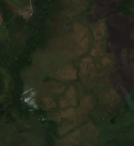 Después — Municipio San Joaquin (Sentinel-2, 2026-09-11)