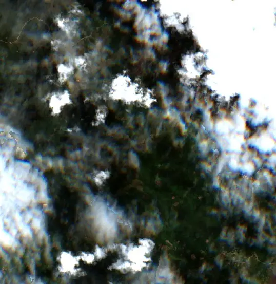 Después — Municipio Apolo (Sentinel-2, 2026-09-22)