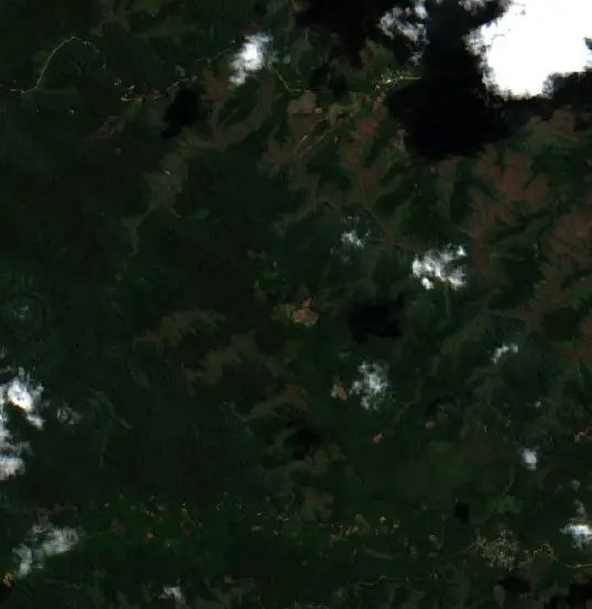 Antes — Municipio Apolo (Sentinel-2, 2026-08-28)