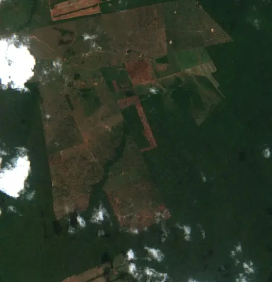 Después — Municipio San Ignacio de Velasco (Sentinel-2, 2026-10-13)
