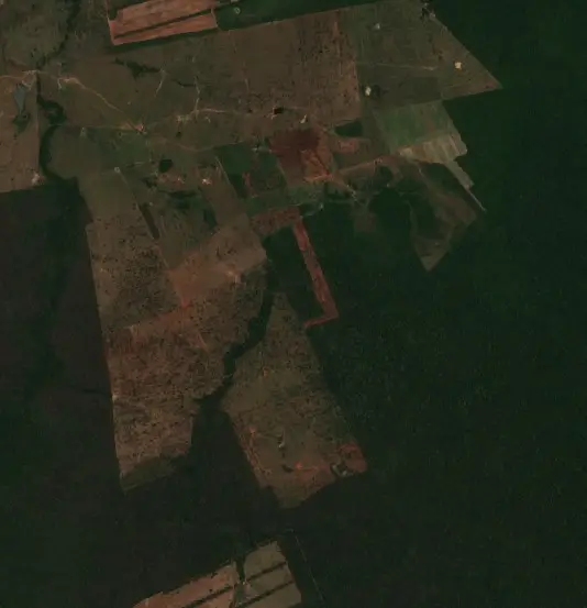Antes — Municipio San Ignacio de Velasco (Sentinel-2, 2026-10-08)