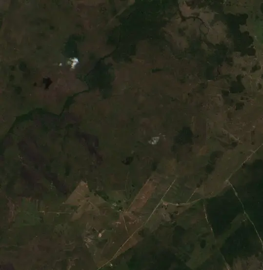 Después — San Borja (Sentinel-2, 2026-09-11)