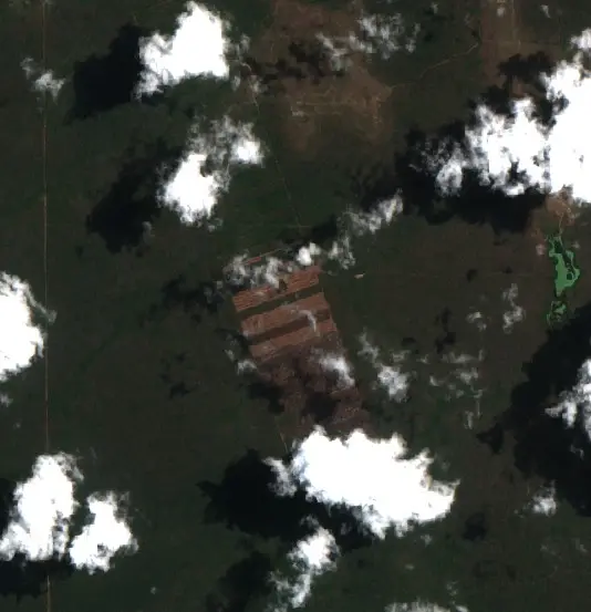 Después — Municipio San Miguel de Velasco (Sentinel-2, 2026-10-08)
