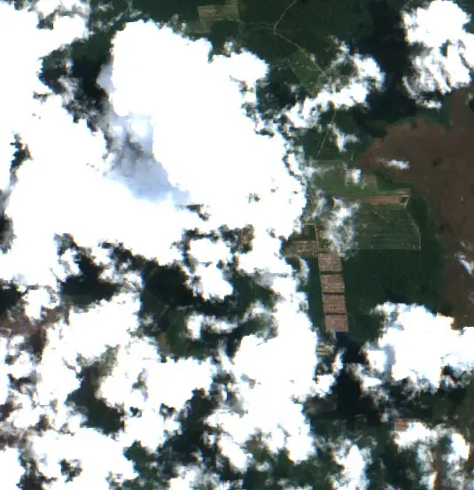 After — El Puente (Sentinel-2, 2026-09-21)