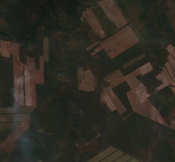 Después — Concepción (Sentinel-2, 2026-09-08)