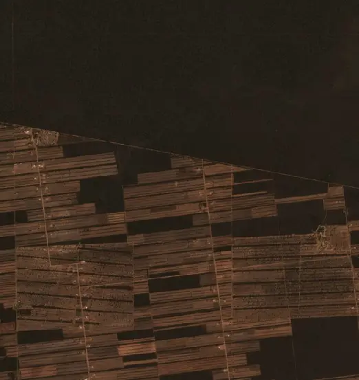Antes — Municipio Boyuibe (Sentinel-2, 2026-09-03)