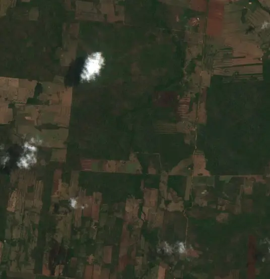 Después — Municipio Concepción (Sentinel-2, 2026-10-13)