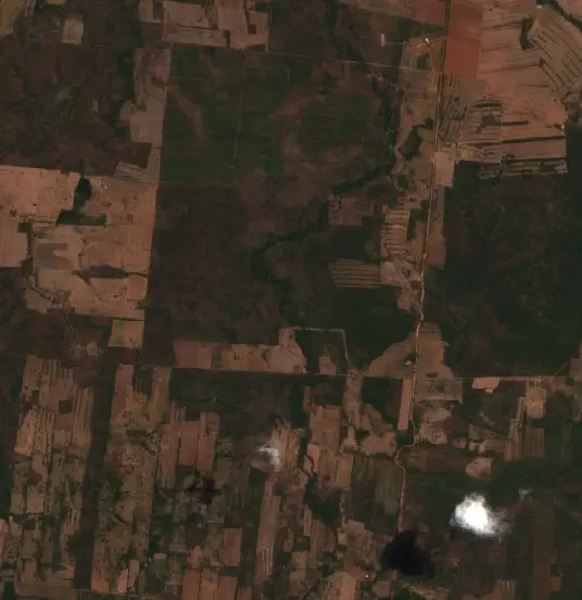 Antes — Municipio Concepción (Sentinel-2, 2026-09-28)