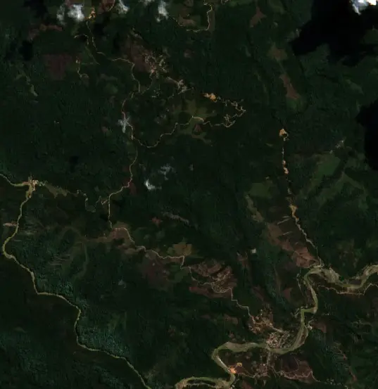 Antes — Municipio Apolo (Sentinel-2, 2026-08-28)