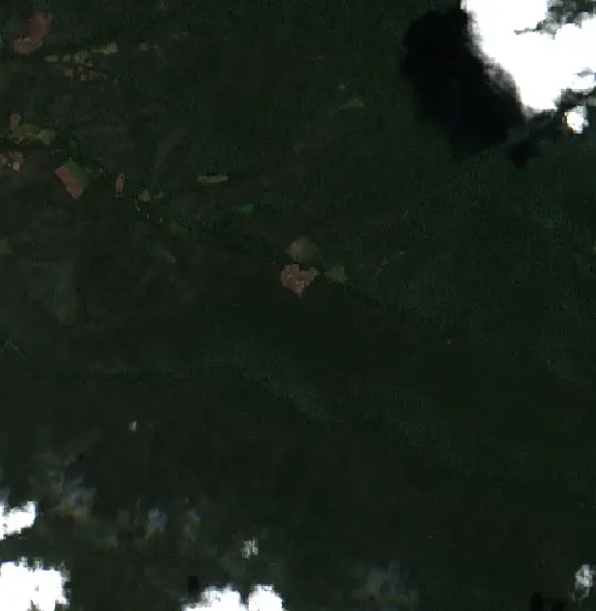 Después — Municipio Apolo (Sentinel-2, 2026-09-12)