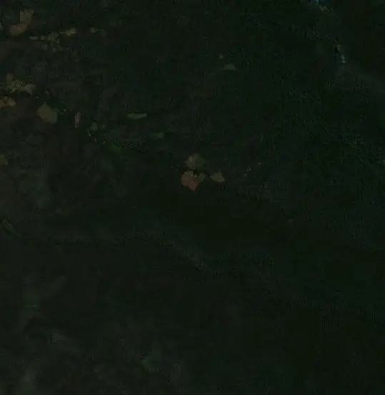 Antes — Municipio Apolo (Sentinel-2, 2026-08-28)