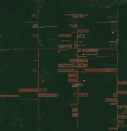 Después —  (Sentinel-2, 2026-10-08)