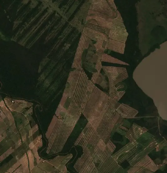 Antes — El Puente (Sentinel-2, 2026-09-08)