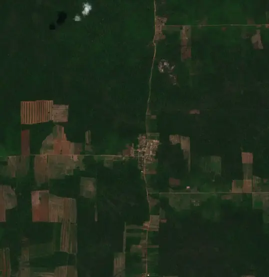Después — Municipio Concepción (Sentinel-2, 2026-10-08)