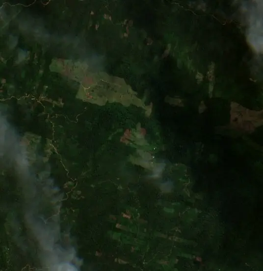 Después — Municipio Palos Blancos (Sentinel-2, 2026-09-19)