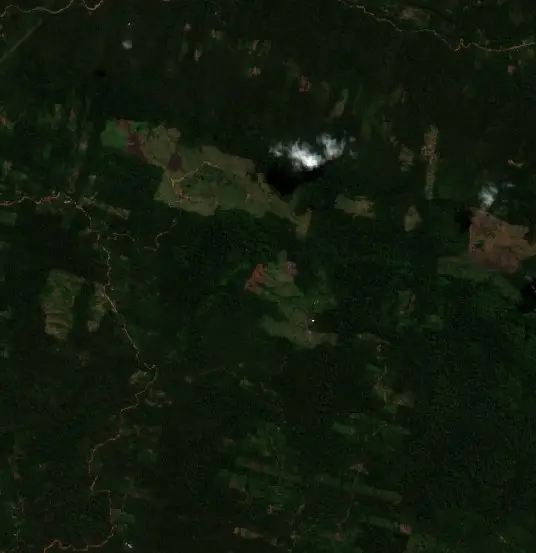 Antes — Municipio Palos Blancos (Sentinel-2, 2026-09-04)