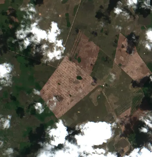 Después — Municipio San Ignacio de Velasco (Sentinel-2, 2026-10-03)