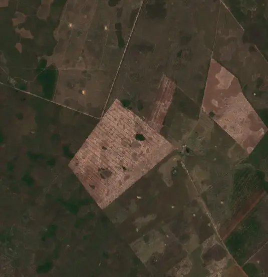Antes — Municipio San Ignacio de Velasco (Sentinel-2, 2026-09-25)