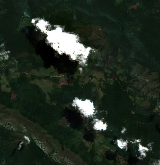 After — Municipio Palos Blancos (Sentinel-2, 2026-09-04)