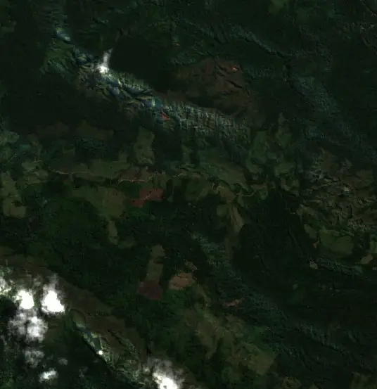 Before — Municipio Palos Blancos (Sentinel-2, 2026-08-12)