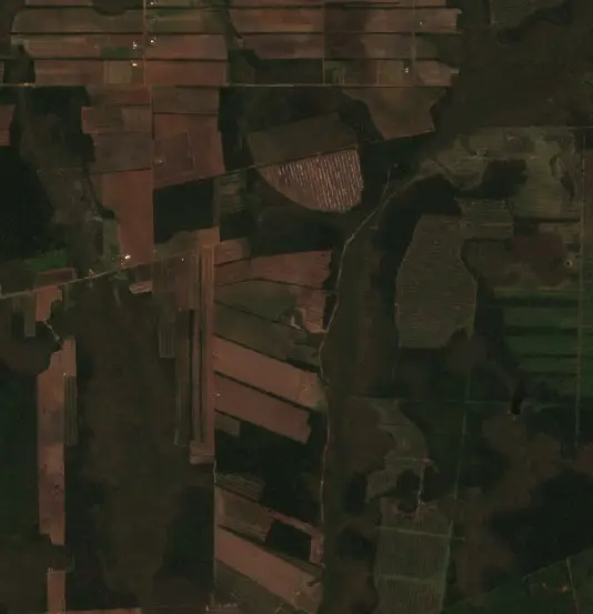 Antes — Municipio San Miguel de Velasco (Sentinel-2, 2026-08-26)