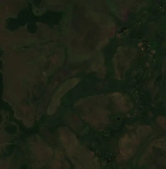 Antes — Municipio Exaltación (Sentinel-2, 2026-08-12)