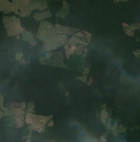 After — Municipio Bella Flor (Sentinel-2, 2026-10-07)