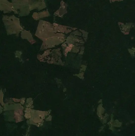 Before — Municipio Bella Flor (Sentinel-2, 2026-08-28)