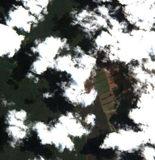 Después — Municipio San Ignacio de Velasco (Sentinel-2, 2026-10-03)